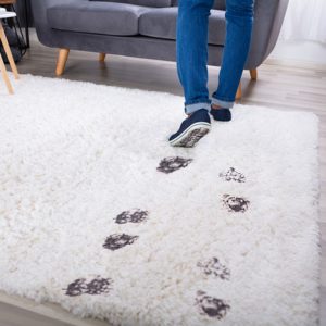 Get-Rid-of-Carpet-Stains