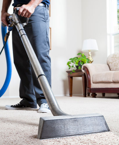 Steam Carpet Cleaning