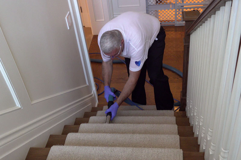 Carpet Cleaning