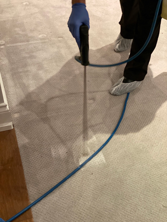Carpet Cleaning Stain Removal