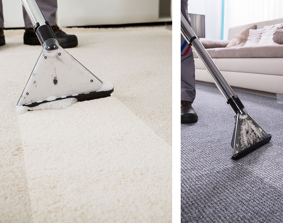 Carpet Cleaning Mississauga