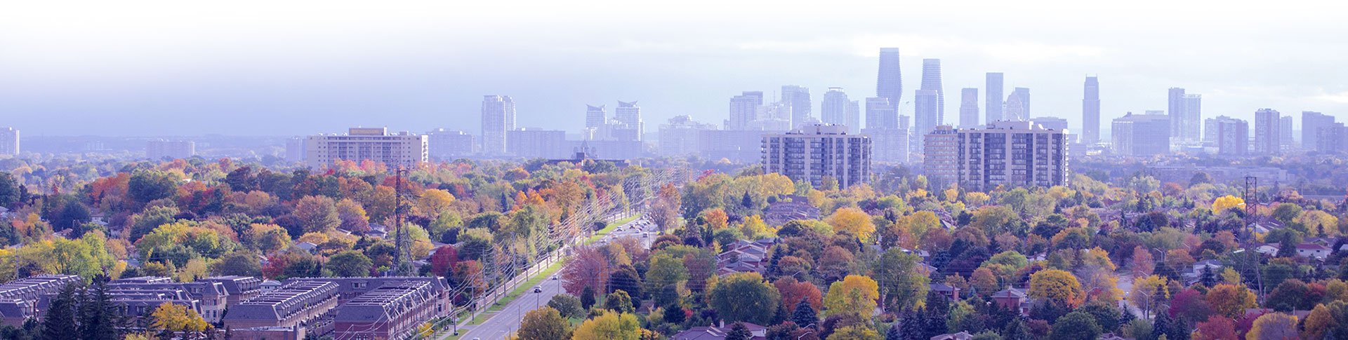 Best carpet cleaning in Mississauga